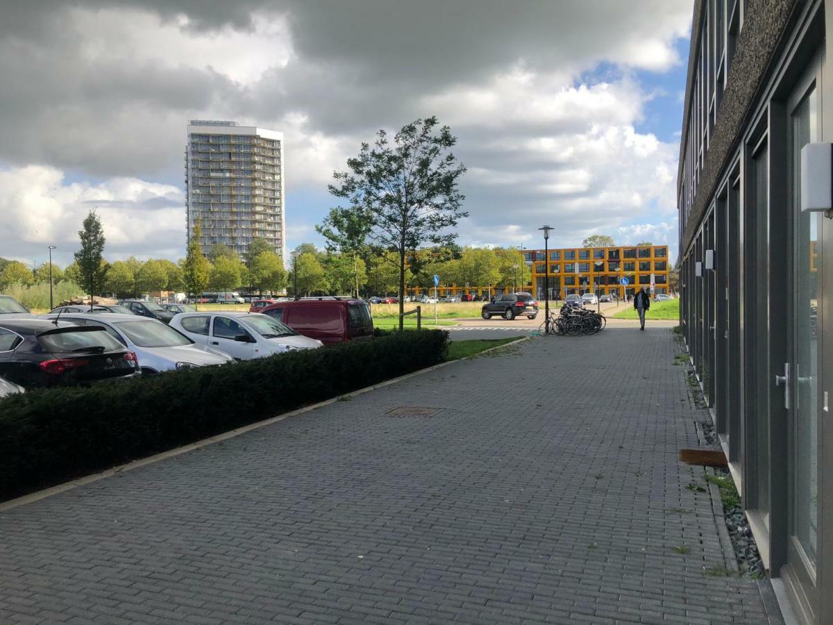Studio Amszterdam Kültér fotó