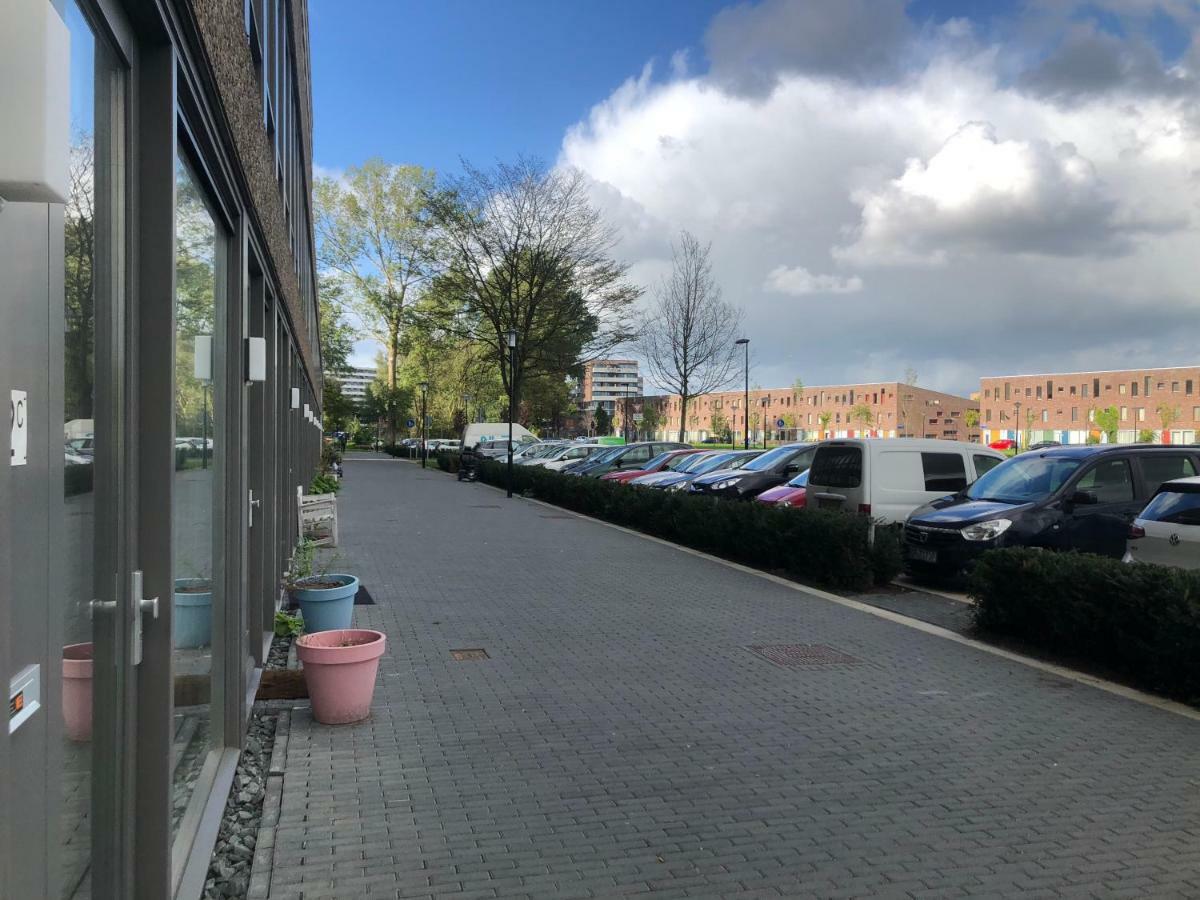 Studio Amszterdam Kültér fotó